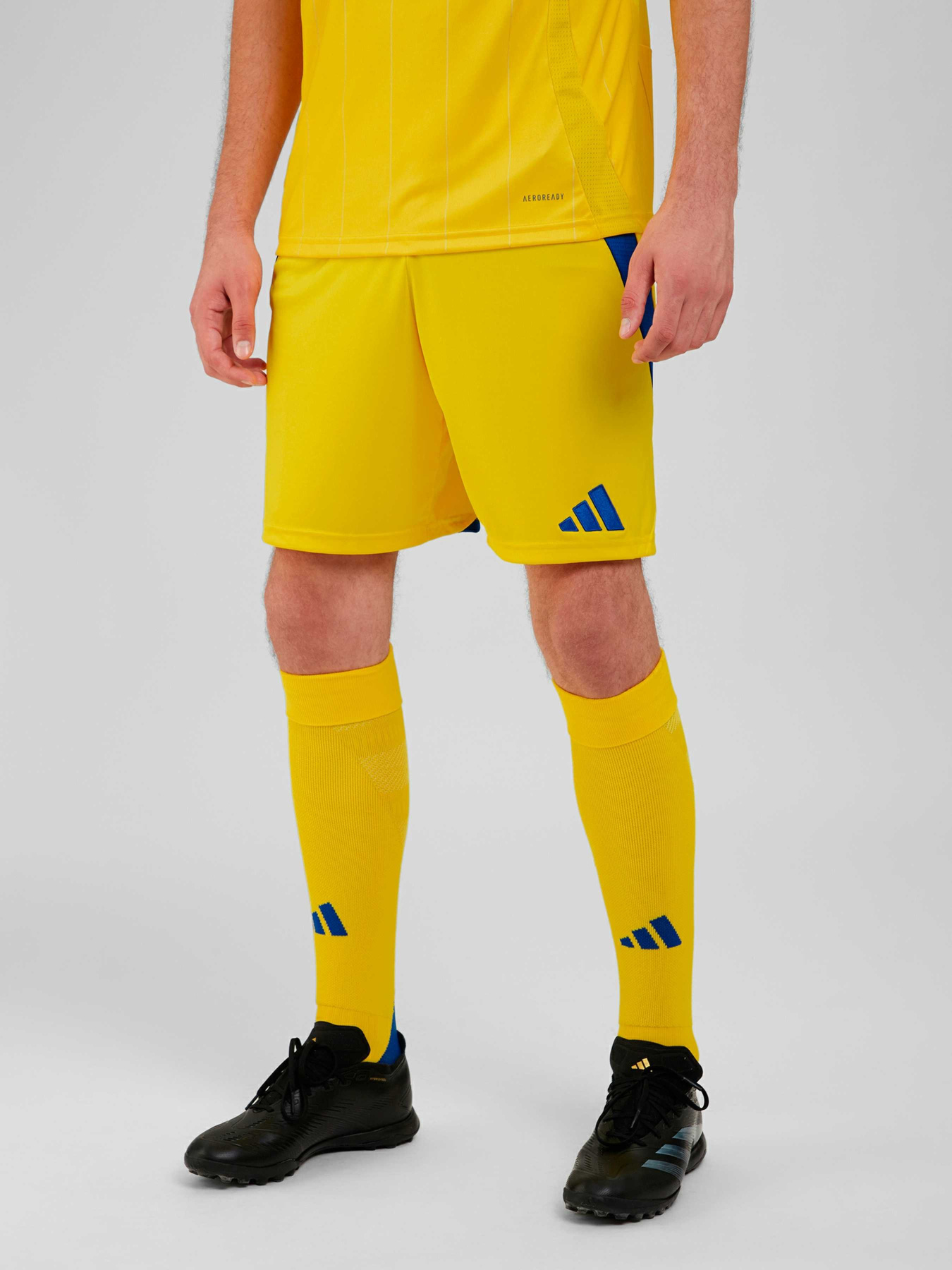 Спортивні шорти Adidas модель IK2248 Спортивні шорти Adidas модель IK2248 Фото