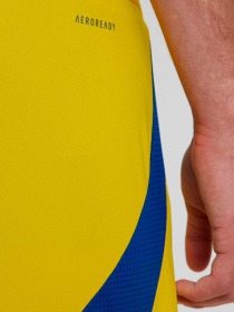 Спортивні шорти Adidas модель IK2248 Спортивні шорти Adidas модель IK2248 Фото