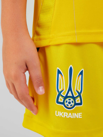 Шорты спортивные Adidas модель IP2185 Фото