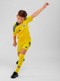 Спортивні шорти Adidas модель IP2185 Фото