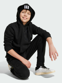 Худи Adidas модель JN2161 Фото