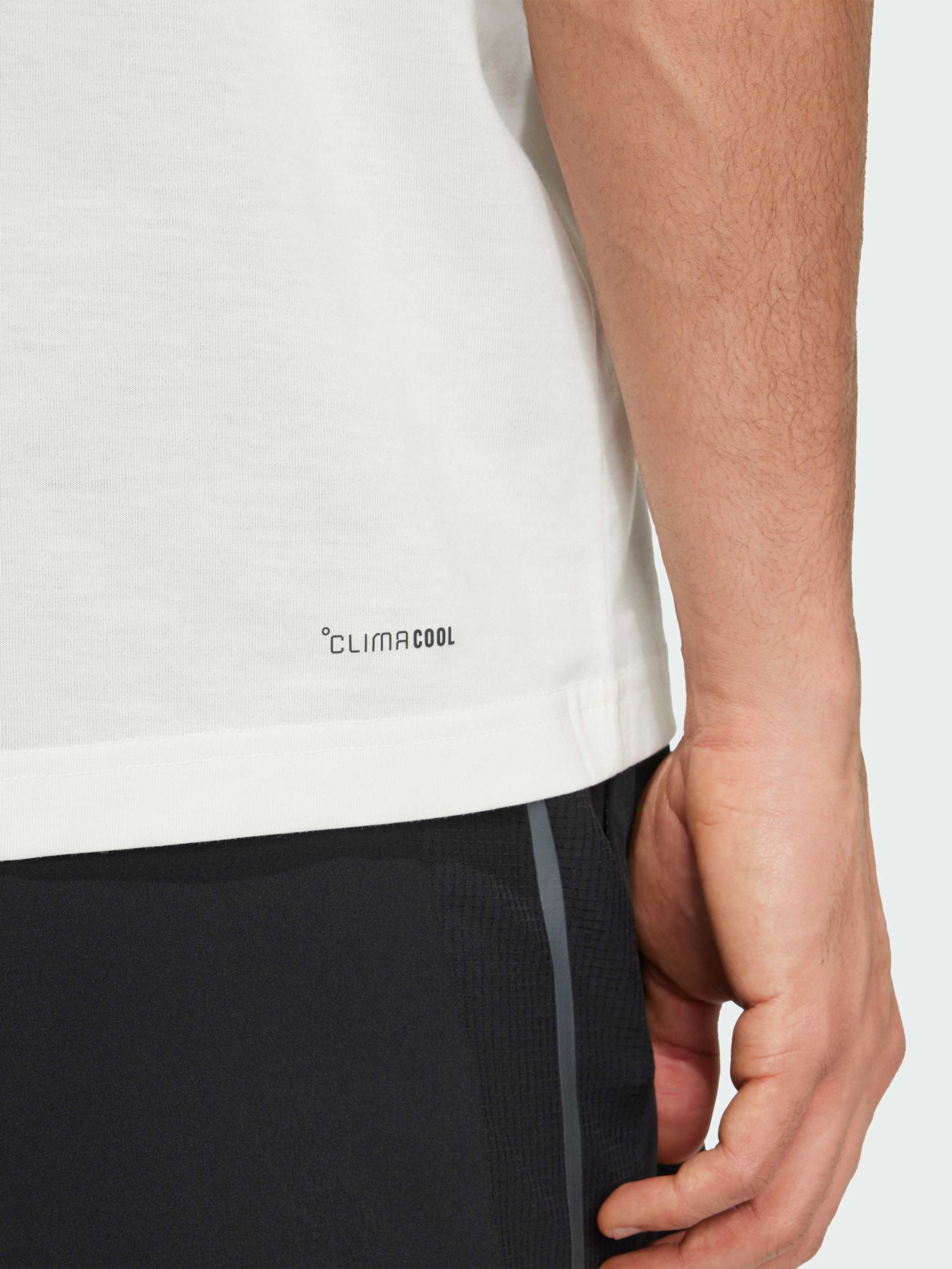 Футболка спортивная Adidas модель JM8976 Фото