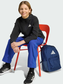 Кофта Adidas модель JM1681 Фото