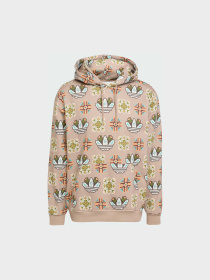 Худи Adidas Graphics модель JW1084 Фото