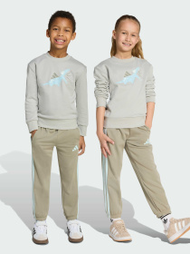 Спортивный костюм Adidas модель JV7951 Фото