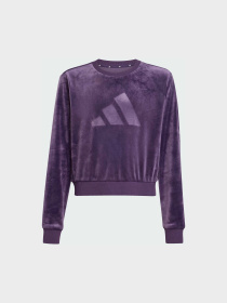 Свитшот Adidas модель JW2437 Фото