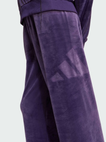 Повсякденні штани Adidas модель JW2440 Фото