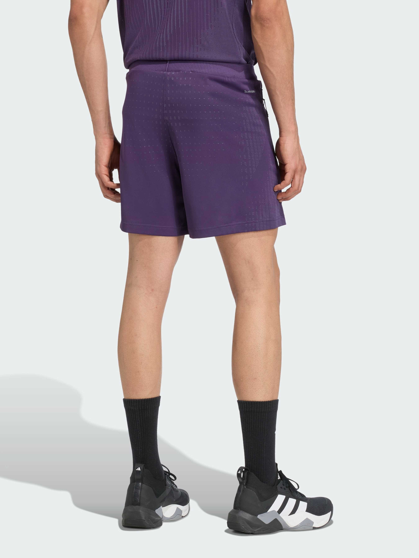 Шорты спортивные Adidas модель JW2577 Фото