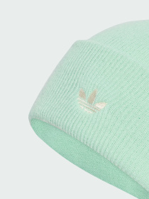 Шапка Adidas Adicolor модель KB3011 Фото