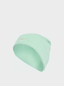 Шапка Adidas Adicolor модель KB3011 Фото