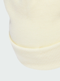 Шапка Adidas Adicolor модель KB3012 Фото