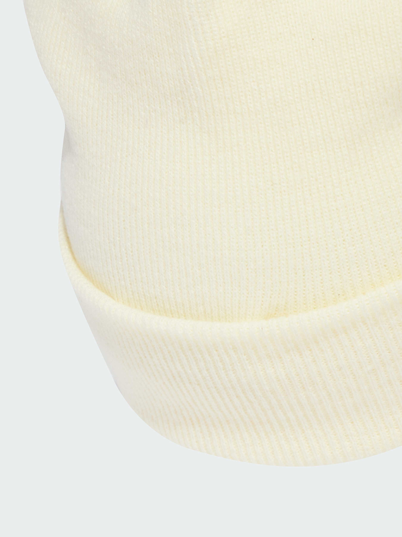 Шапка Adidas Adicolor модель KB3012 Фото