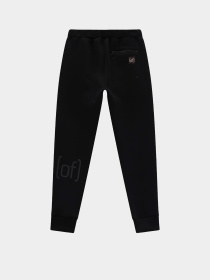 Штаны спортивные CMP модель 35D4917-U901 Штаны спортивные CMP модель 35D4917-U901 Фото