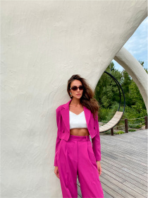 Повседневный костюм Milirud (кроп-жакет + брюки палаццо) модель mil458-fuksq Фото