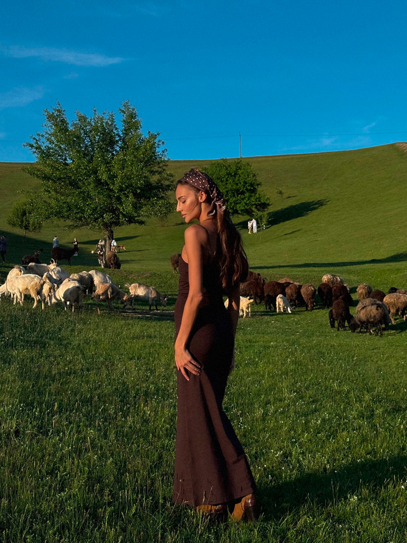 Платье макси Milirud модель mil563-shokoladnij Платье макси Milirud модель mil563-shokoladnij Фото