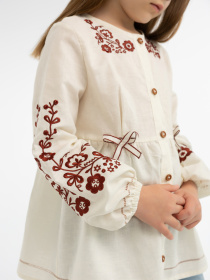 Вышитая рубашка Folk Moda модель fm3023-vershkovij Фото