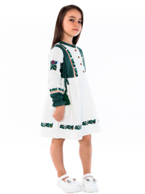 Вышитое платье Folk Moda модель fm2901-vershkovij Фото