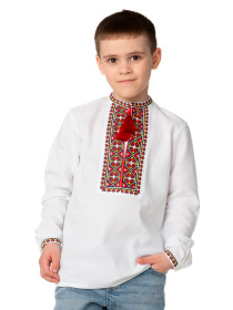 Вышитая рубашка Folk Moda модель fm2871-blij Вышитая рубашка Folk Moda модель fm2871-blij Фото