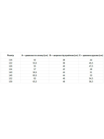 Вышитая рубашка Folk Moda модель fm2873-blij Фото