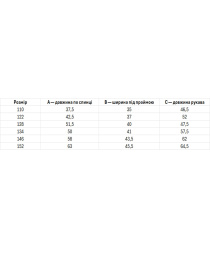 Вышитая рубашка Folk Moda модель fm2824-blij Фото