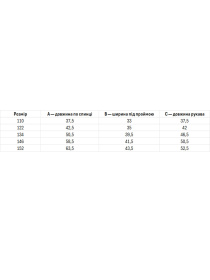 Вышитая рубашка Folk Moda модель fm2825-blij Фото