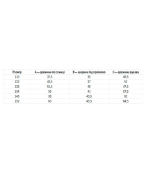 Вышитая рубашка Folk Moda модель fm2817-blij Фото