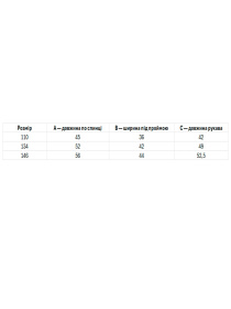 Вышитая рубашка Folk Moda модель fm2819-temno-sinj Фото