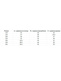 Вышитая рубашка Folk Moda модель fm2800-sinj Фото