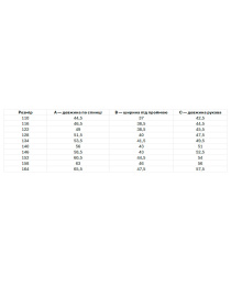 Вышитая рубашка Folk Moda модель fm2807-blij Фото