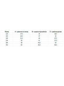 Вышитая рубашка Folk Moda модель fm2814-blij Фото