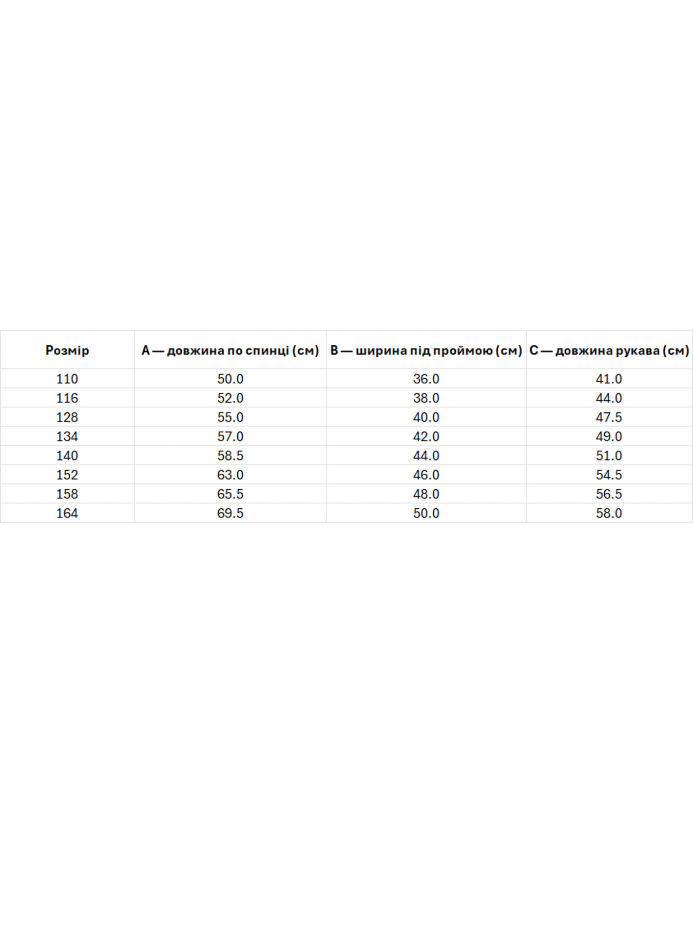 Вышитая рубашка Folk Moda модель fm2714-srij Фото