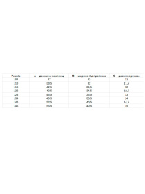 Вишита сорочка Folk Moda модель fm2684-chornij Фото