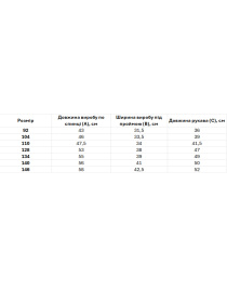 Вышитая рубашка Folk Moda модель fm2507-vershkovij Фото