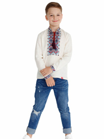 Вышитая рубашка Folk Moda модель fm2507-vershkovij Фото