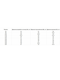 Вышитая рубашка Folk Moda модель fm2513-blakitnij Фото