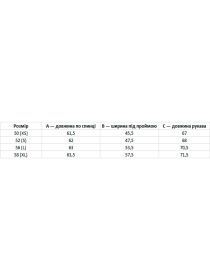 Вышитая рубашка Folk Moda модель fm2148-bldo-rozhevij Фото