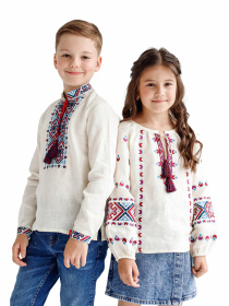 Вышитая рубашка Folk Moda модель fm2090-vershkovij Фото