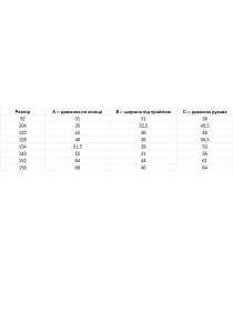 Вышитая рубашка Folk Moda модель fm2090-vershkovij Фото