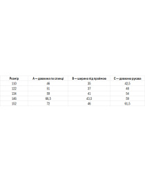 Вышитая рубашка Folk Moda модель fm2135-temno-sinj Фото
