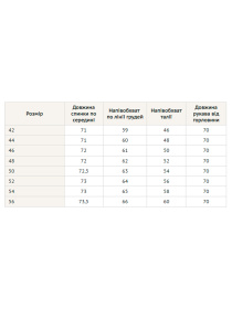 Худи RiMari модель 0224-blakitnij Фото