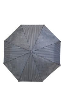 Зонт Fulton Umbrellas Chelsea-2 модель G818-014936 Фото