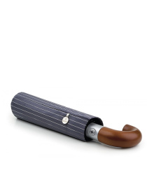 Зонт Fulton Umbrellas Chelsea-2 модель G818-014936 Фото