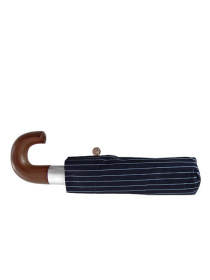 Зонт Fulton Umbrellas Chelsea-4 модель G818-024188 Зонт Fulton Umbrellas Chelsea-4 модель G818-024188 Фото