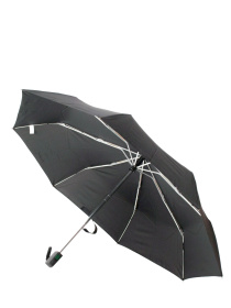 Парасолька Fulton Umbrellas Open & Close-17 модель G819-007822 Фото