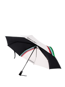 Парасолька Fulton Umbrellas Jumbo-2 модель G842-040607 Фото