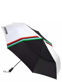 Парасолька Fulton Umbrellas Jumbo-2 модель G842-040607 Фото