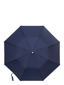 Парасолька-тростина Fulton Umbrellas Portobello-1 модель G938-041406 Фото