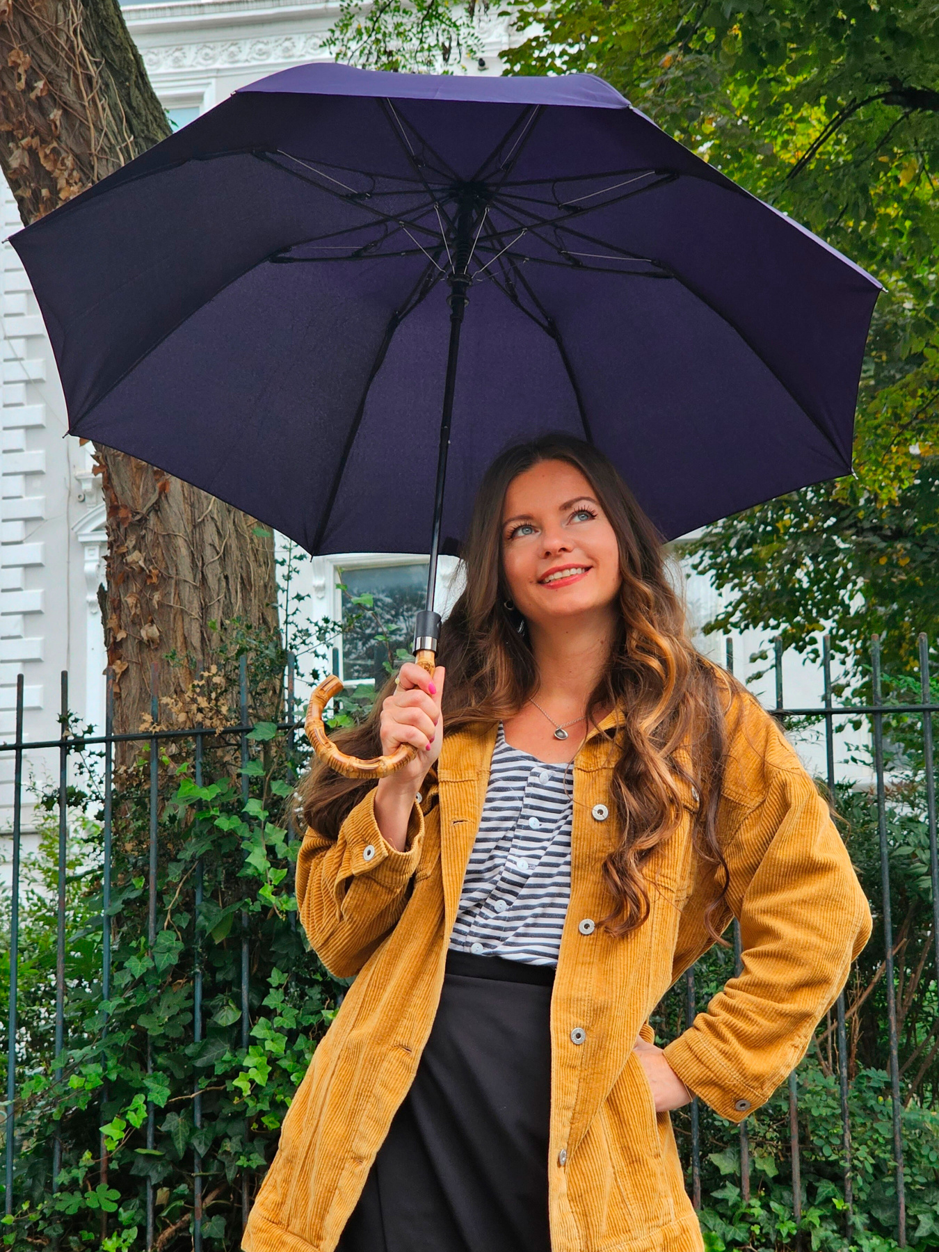 Зонт Fulton Umbrellas Portobello-1 модель G938-041406 Фото