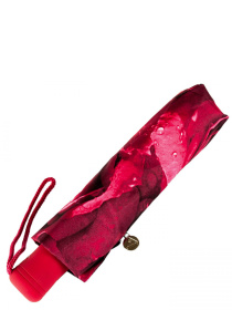 Зонт Fulton Umbrellas Open & Close-3 модель L346-020388 Фото