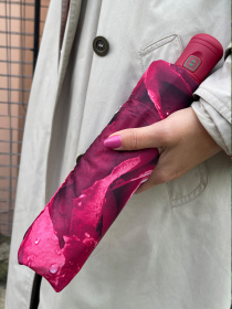 Зонт Fulton Umbrellas Open & Close-3 модель L346-020388 Фото